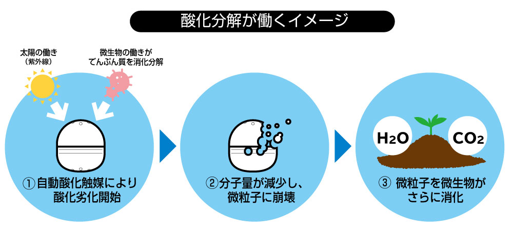 【業務用梱包品】環境にやさしい 65mmAMバイオカプセルS　約500個入り