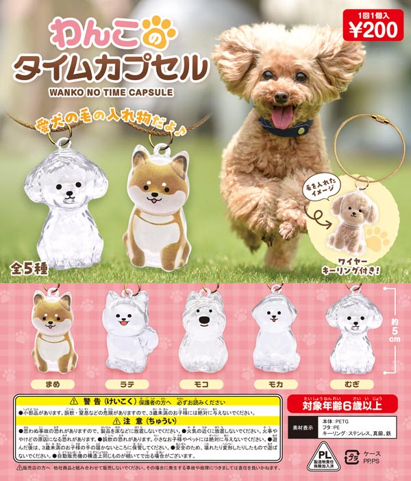 ♯Jqi22HZ　まんまるどうぶつ　まんまるいぬやんちゃ編　フルコンプ7種 Amazon.co.jp: ♯Jqi22HZまんまるどうぶつまんまるいぬやんちゃ編