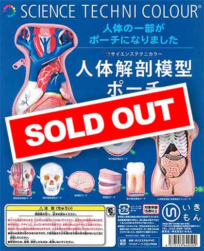 スペゴラ博物館人体解剖模型☆Anatomica☆アトラス スペゴラ博物館人体解剖模型☆Anatomica☆アトラス - メルカリ