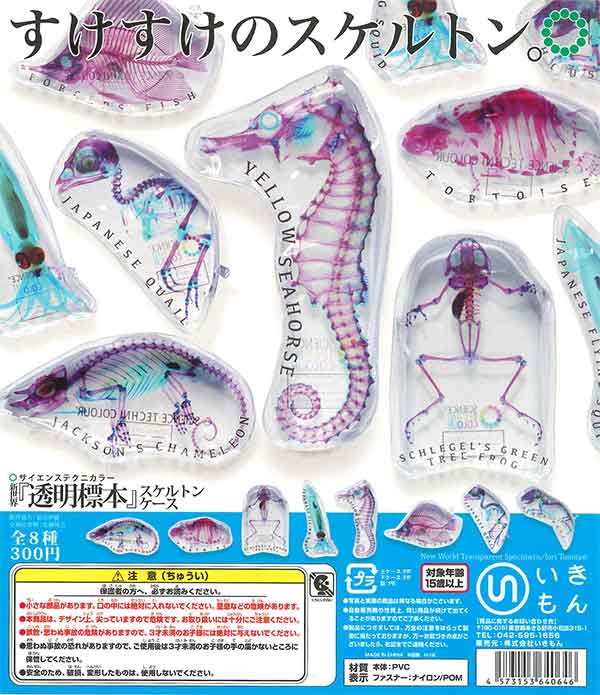 サイエンステクニカラー 新世界『透明標本』ポーチ （40個入り