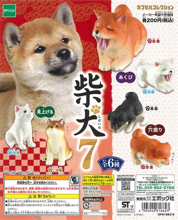 柴犬7 （50個入り） | 街ガチャ・カプセルトイ・カプセルトイ自販機