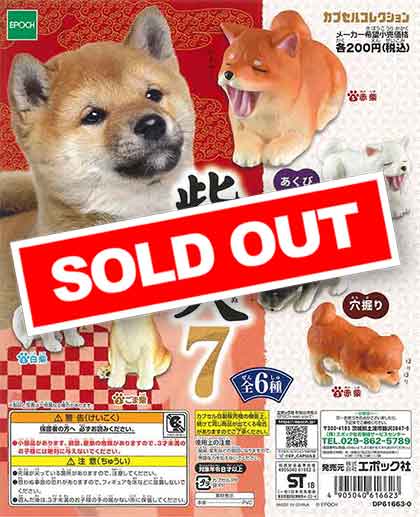 柴犬7 （50個入り） | カプセルトイ・カプセルトイ自販機・空カプセル