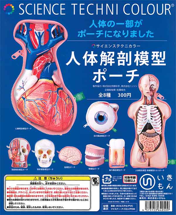 再販》サイエンステクニカラー 人体解剖模型ポーチ （40個入り