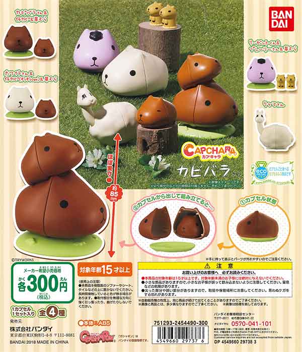 カピバラさん カプキャラ カピバラさん （40個入り） | ガチャガチャ