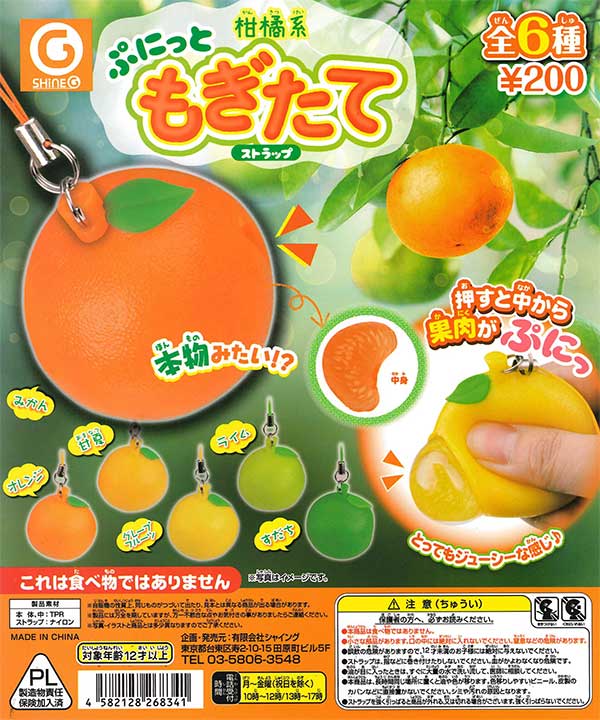 再販》柑橘系 ぷにっともぎたてストラップ （50個入り