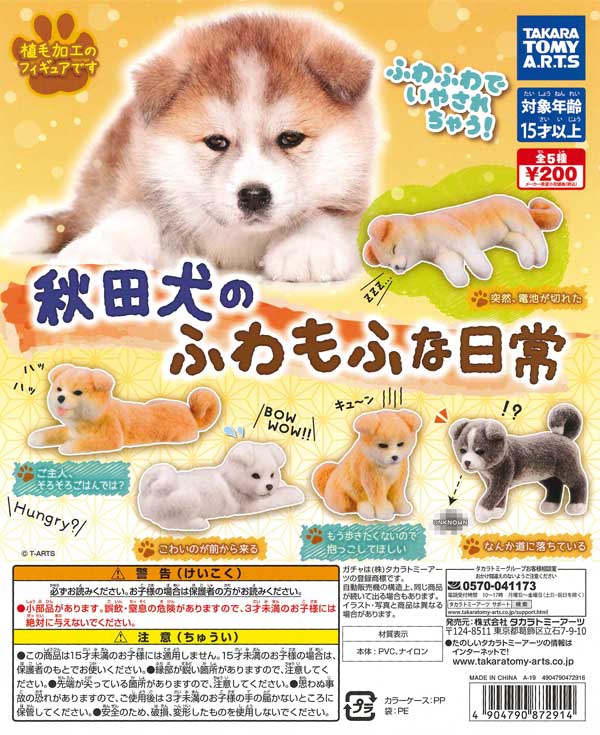 秋田犬のふわもふな日常 （50個入り） | 街ガチャ・カプセルトイ