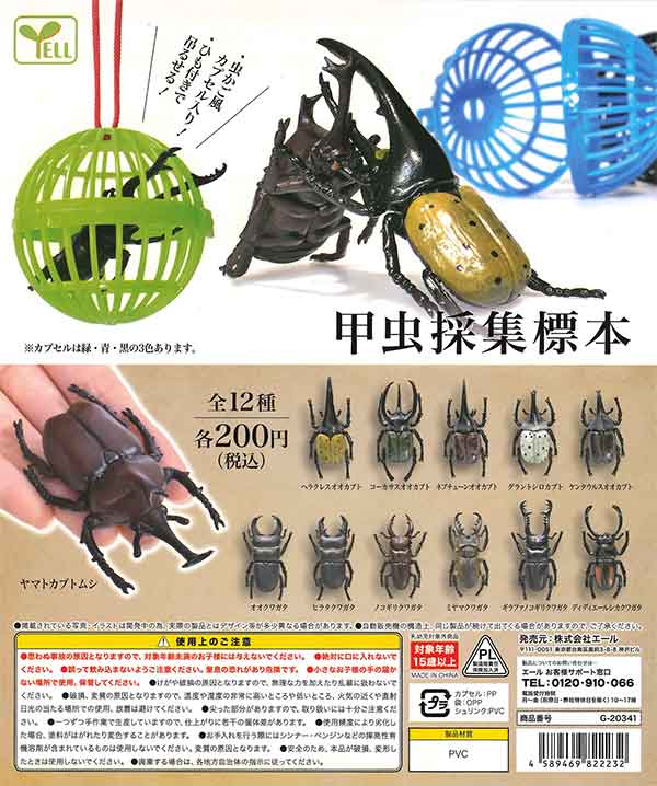 甲虫採集標本　（50個入り）