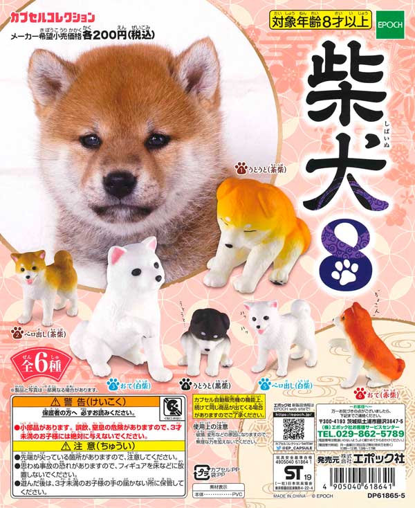 柴犬8 （50個入り） | ガチャガチャ・カプセルトイ・空カプセル通販