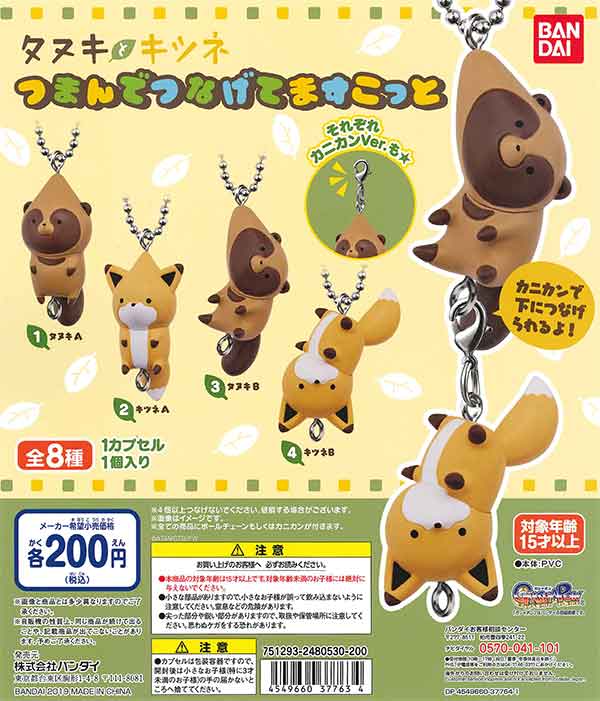 タヌキとキツネ つまんでつなげてますこっと （50個入り