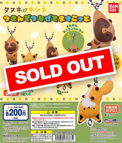 タヌキとキツネ つまんでつなげてますこっと （50個入り