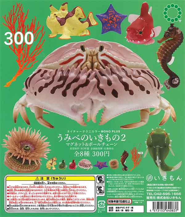 感謝価格✨赤目白蛇 豊穣浄化ポーチ✨ アガベ チタノタ銘品3種セット（白鯨・赤猫・黒火焔）3.5号鉢