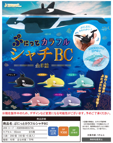 Z12】ぷにっとカラフルシャチBC （40個入り）【予約商品