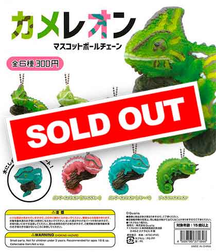 エボシカメレオンとヒゲコノハカメレオンとパンサーカメレオンと