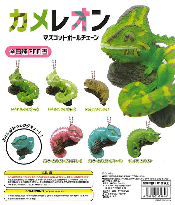 エボシカメレオンとヒゲコノハカメレオンとパンサーカメレオンと