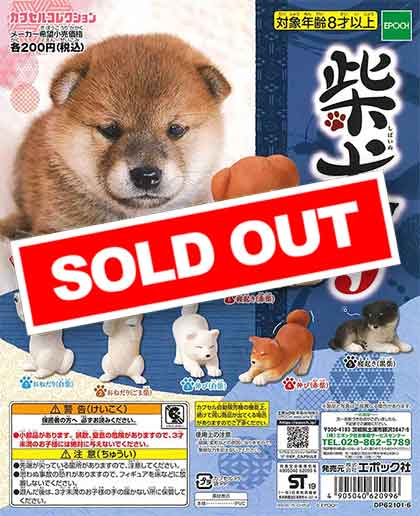 ☆受付☆柴犬 Shiba Inu and Mame Shiba siblings become violent and start a bell