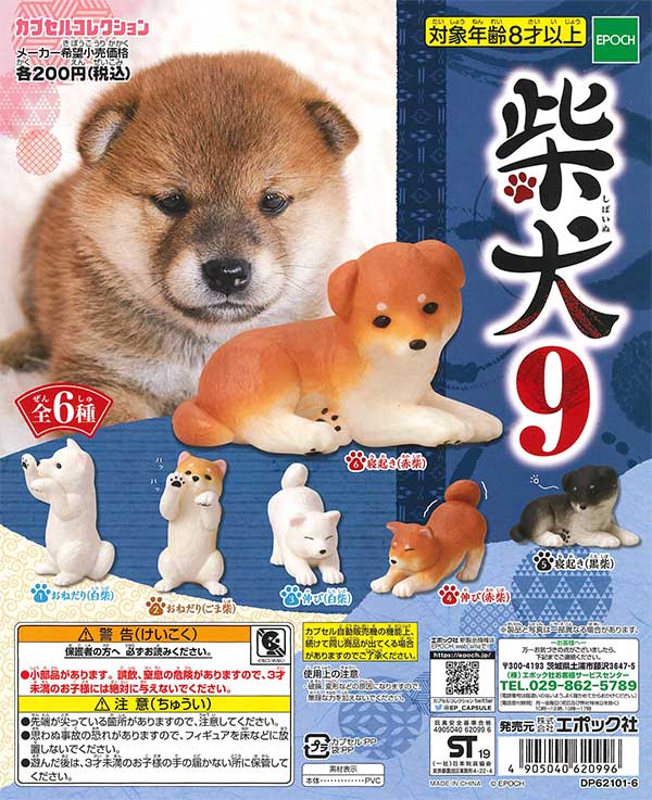 柴犬9 （50個入り） | カプセルトイ・カプセルトイ自販機・空カプセル