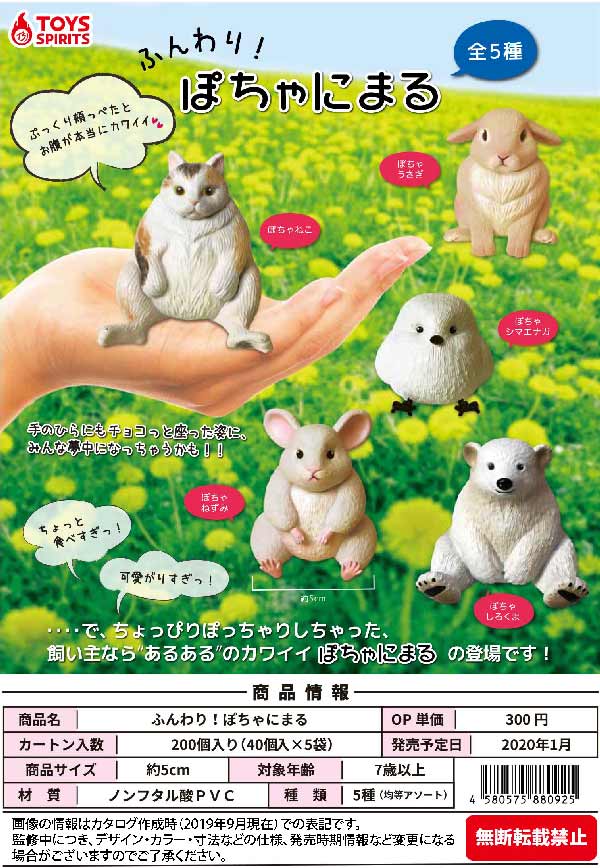 Z01】ふんわり！ぽちゃにまる （40個入り）【予約商品】 | カプセル