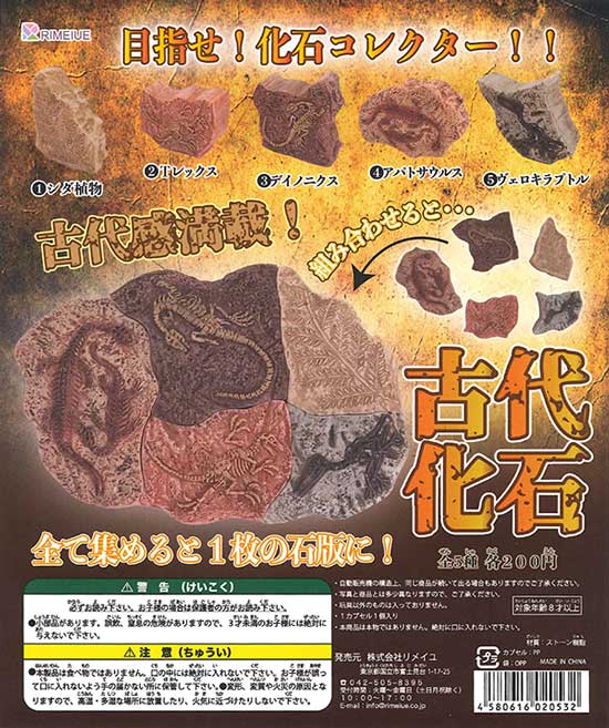古代 化石 古代化石 （60個入り） | ガチャガチャ通販専門【あミューズ】
