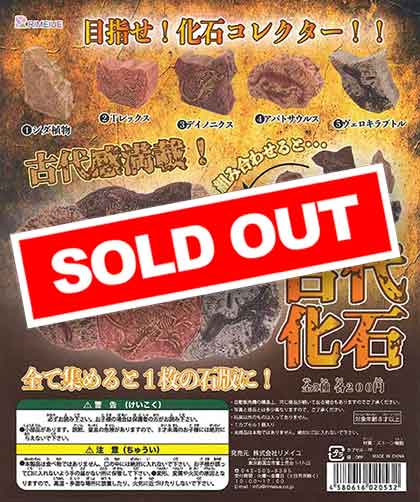 古代化石 （60個入り） | ガチャガチャ通販専門【あミューズ】