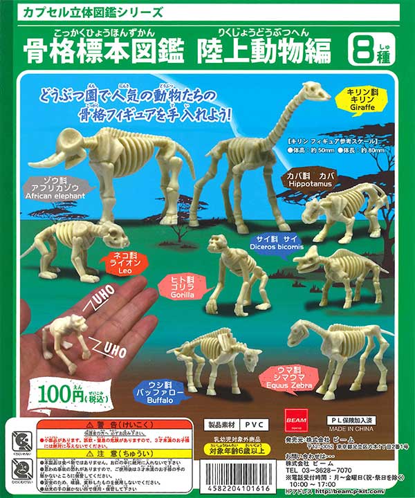 骨格標本図鑑 陸上動物編 （100個入り） | カプセルトイ・カプセルトイ