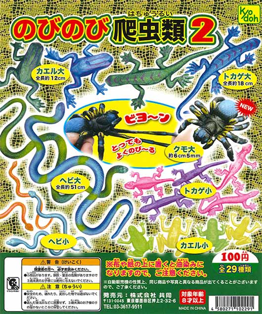 お*い様 爬虫類用品② 大阪 八尾市 爬虫類ショップ いわく屋ぴちこ｜アルマジロトカゲ A