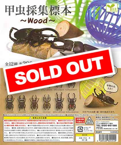 甲虫採集標本～Wood～ （50個入り） | ガチャガチャ通販専門【あミューズ】