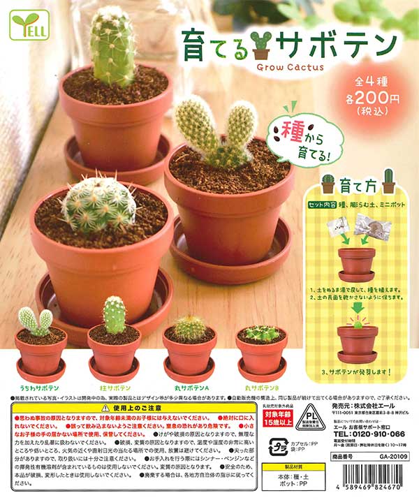 育てるサボテン （50個入り） | ガチャガチャ・カプセルトイ・空
