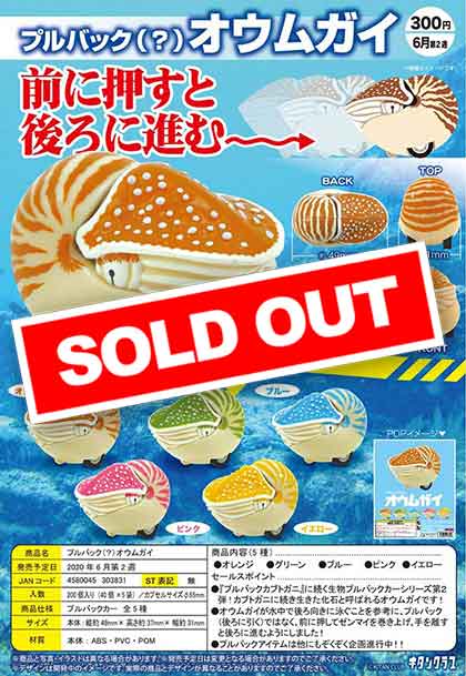 オウムガイ2個セット K06】プルバック（？）オウムガイ （40個入り）【予約商品