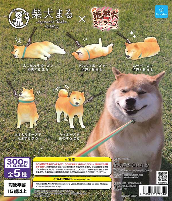 柴犬まる×拒否犬ストラップ （40個入り） | ガチャガチャ