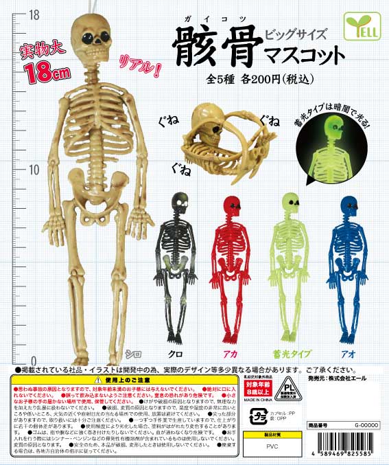 Y10】ビッグサイズガイコツマスコット （50個入り）【予約商品