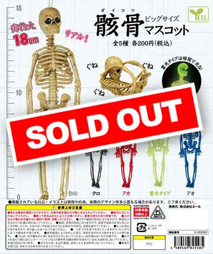 Y10】ビッグサイズガイコツマスコット （50個入り）【予約商品