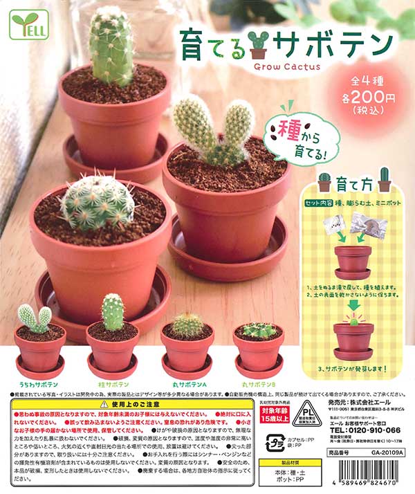 再販》育てるサボテン （50個入り） | ガチャガチャ通販専門【あミューズ】