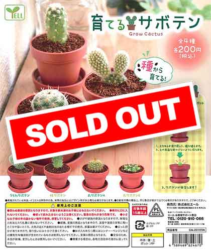 再販》育てるサボテン （50個入り） | ガチャガチャ通販専門【あミューズ】