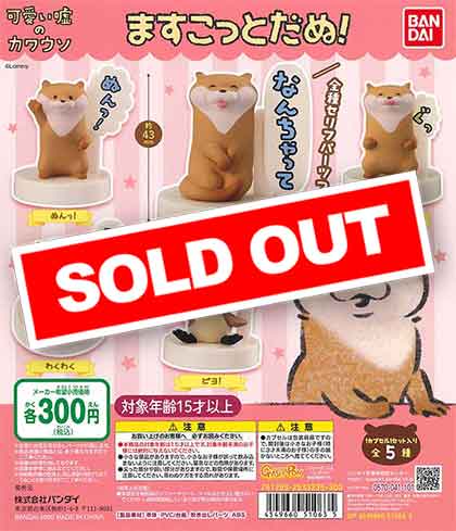 可愛い嘘のカワウソ ますこっとだぬ！ （40個入り） | ガチャガチャ