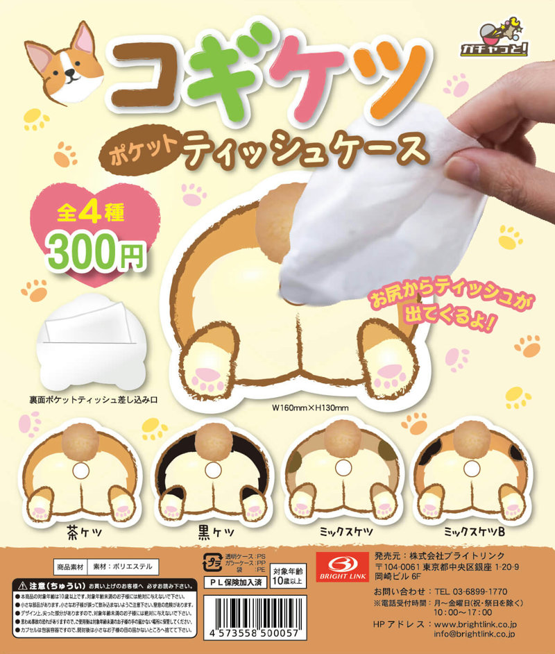 Z02】コギケツ ポケットティッシュケース （50個入り）【予約