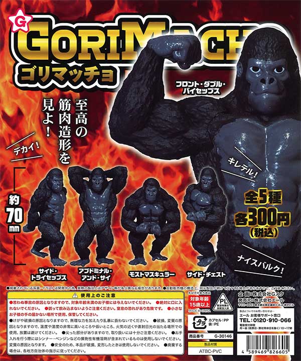 ゴリマッチョ （40個入り） | ガチャガチャ通販専門【あミューズ】