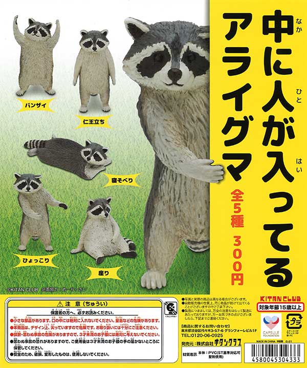 中に人が入ってるアライグマ （40個入り） | ガチャガチャ通販専門【あ