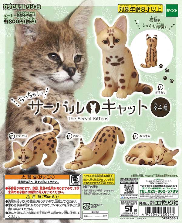 再販》ちっちゃいサーバルキャット （40個入り） | ガチャガチャ