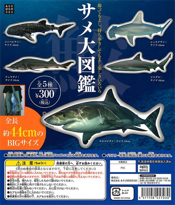 サメ　大図鑑　（50個入り）