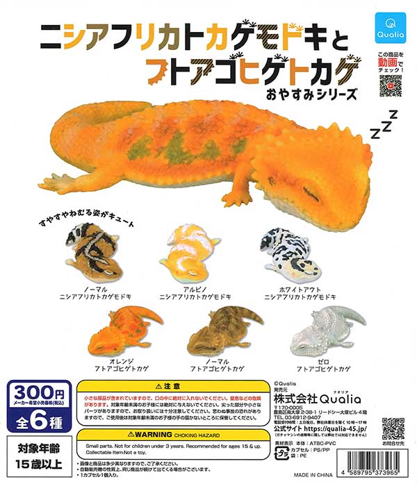 ニシアフリカトカゲモドキとフトアゴヒゲトカゲおやすみシリーズ