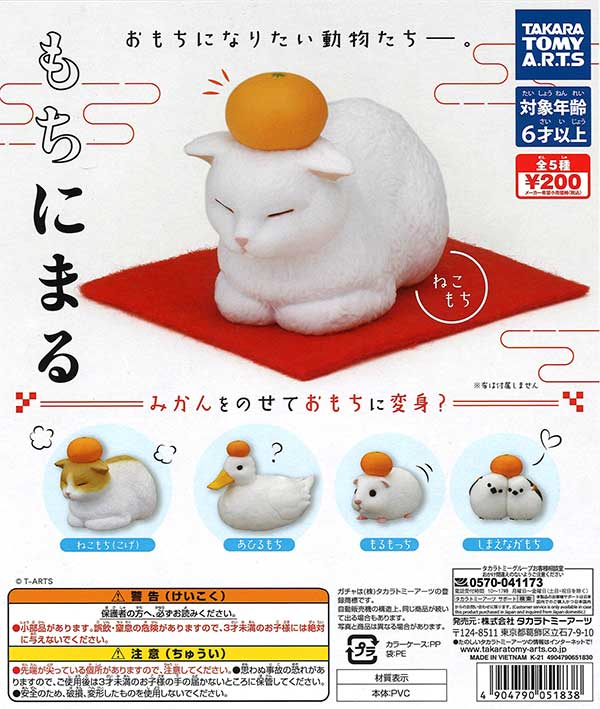 もちまる Mochimaru - YouTube