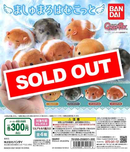ハム様用 短い