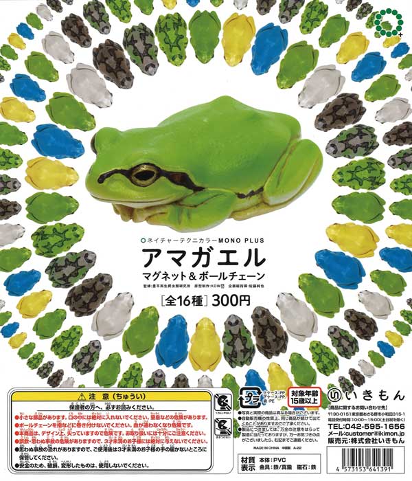 再販》アマガエル マグネット＆ボールチェーン （40個入り）【予約商品