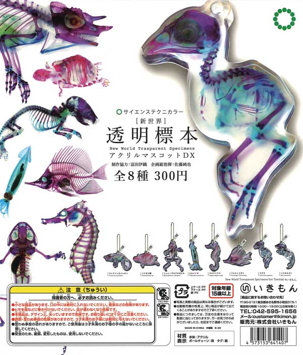新世界『透明標本』アクリルマスコットDX （40個入り） | ガチャガチャ