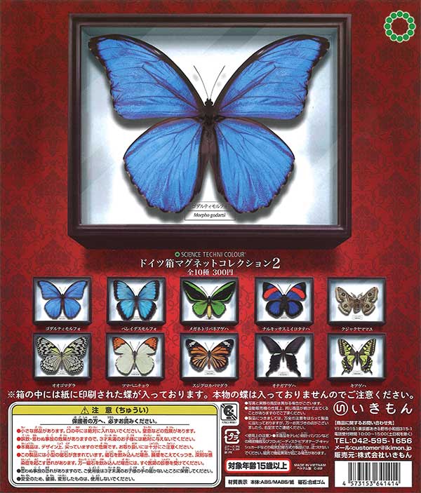 志賀昆虫大型ドイツ箱2箱セット 志賀昆虫大型ドイツ箱2箱セット 志賀昆虫大型ドイツ箱2箱セット