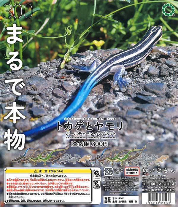 トカゲ 513tPF6hA4L._AC_UF350,