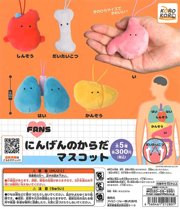 FANS にんげんのからだマスコット （40個入り） | ガチャガチャ通販