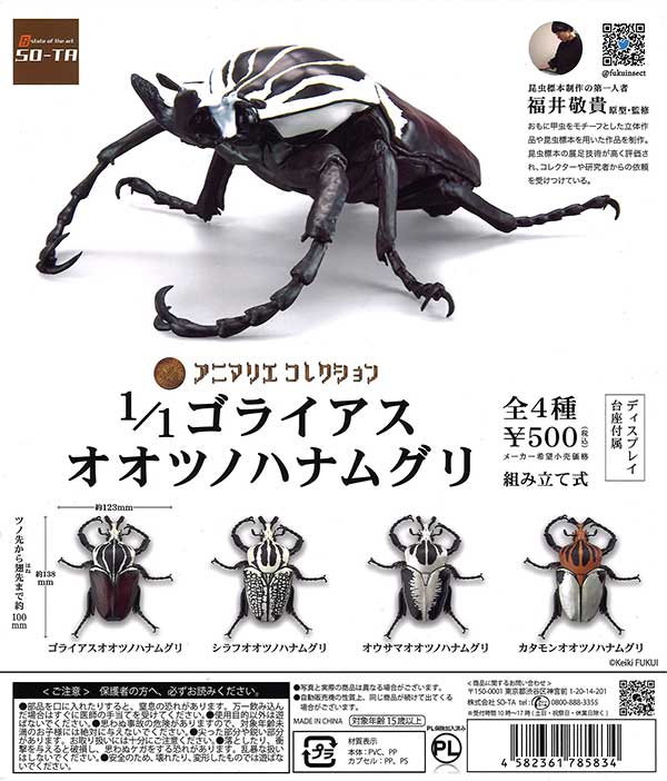 1/1ゴライアスオオツノハナムグリ （20個入り） | ガチャガチャ通販