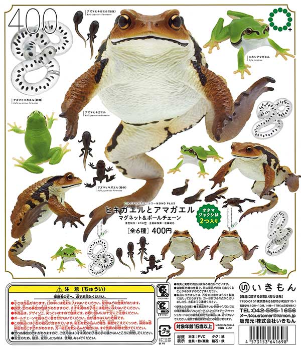 アマガエル様、確認用 青いアマガエル見つかる 珍しい突然変異で緑色から変化 豪州 - CNN.co.jp