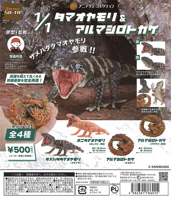 1/1タマオヤモリ＆アルマジロトカゲ （20個入り